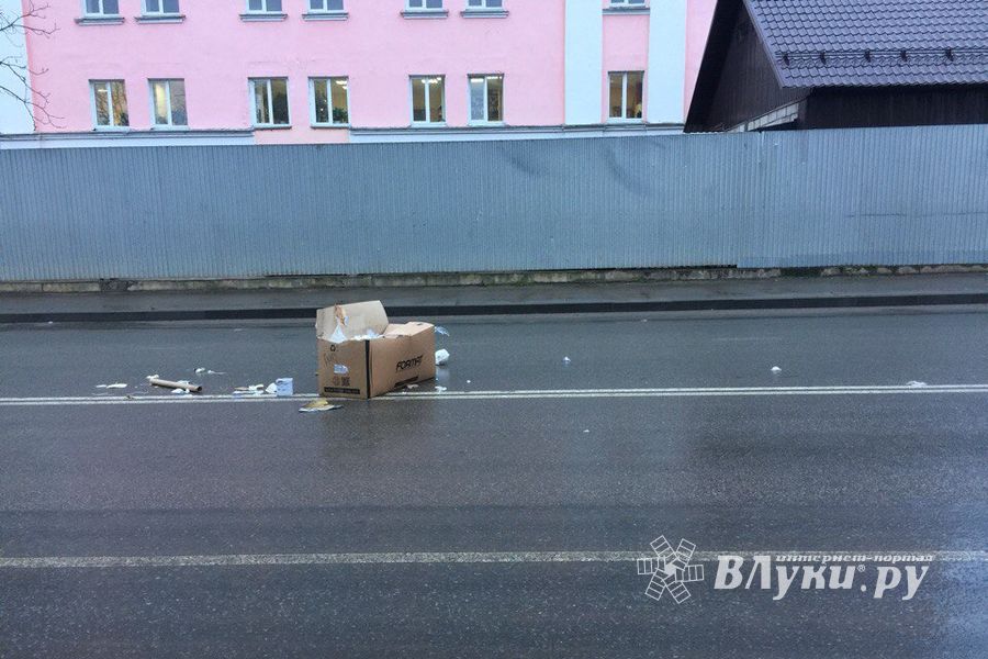 Неопознанный валяющийся объект «украсил» дорогу в Великих Луках.