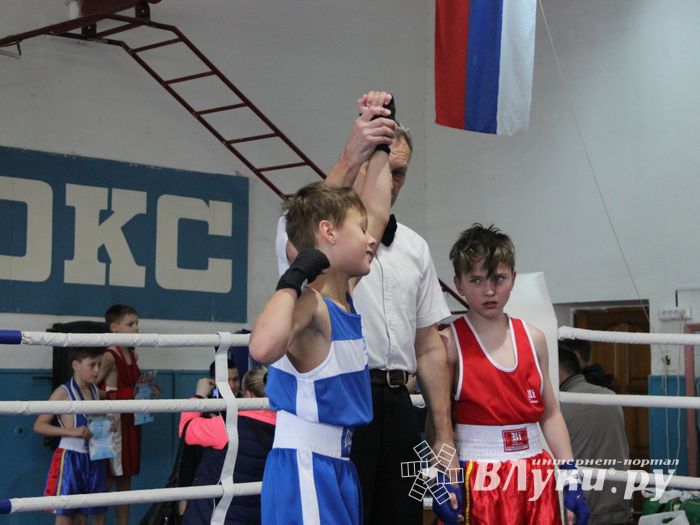 Юные великолучане выявили сильнейших боксёров (ФОТО)