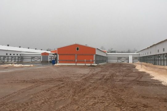 Крупнейший селекционно-генетический центр открылся в Куньинском районе (ФОТО)