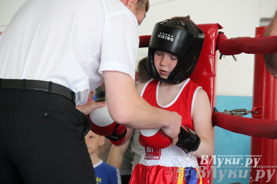 Первенство города по боксу