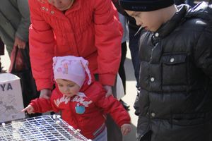 Универсальная торговая ярмарка «Весна-2015» прошла в Великих Луках (фото)