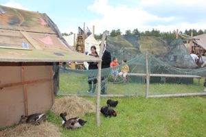 Праздник поэзии