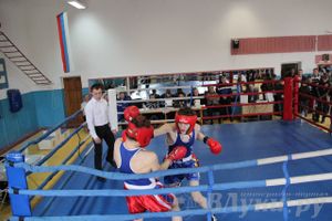 Открытое Первенство города по боксу