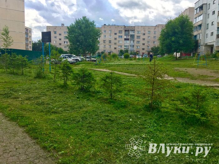 Великолучан беспокоит озеро во дворе дома (ФОТО)