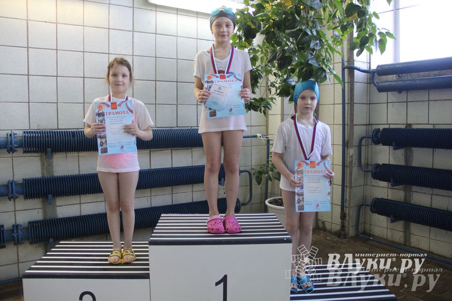 В Великих Луках прошли соревнования по плаванию «Весёлый дельфин»