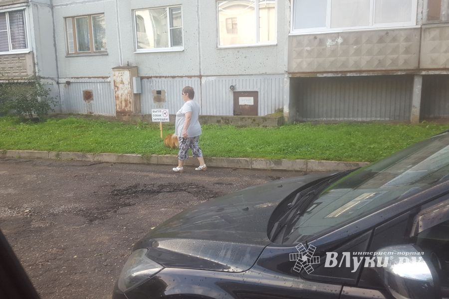 ФОТОФАКТ: Тяжелые отношения собак и газонов