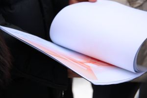 Губернатору не понравилось место для новой школы в Великих Луках (ФОТО)