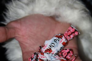 В Великих Луках состоялась презентационная игра «Дозор» (фото)