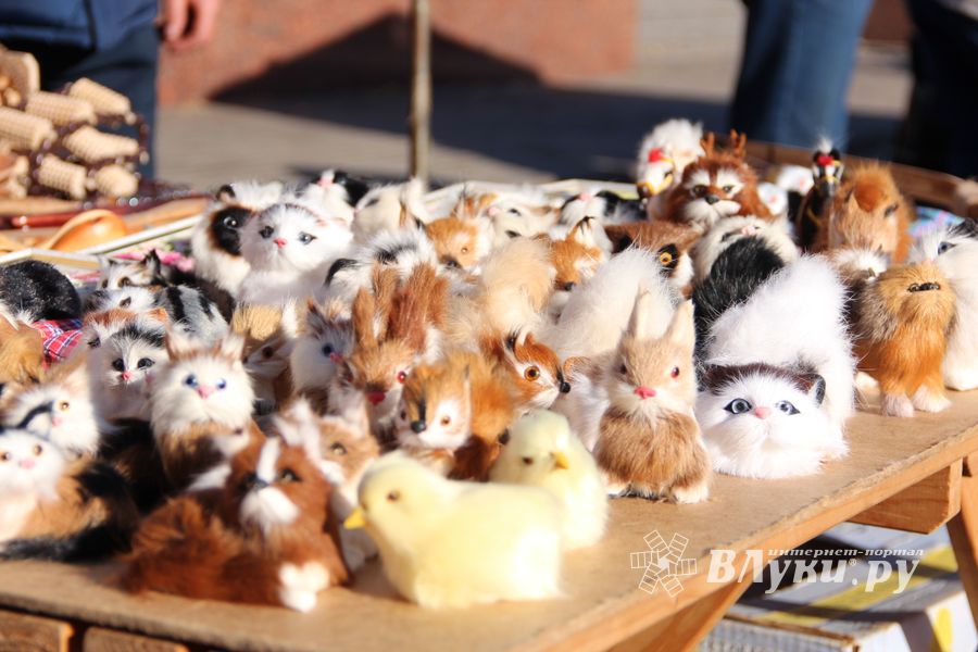 Торговая ярмарка «Осень-2016» прошла в Великих Луках (ФОТО)