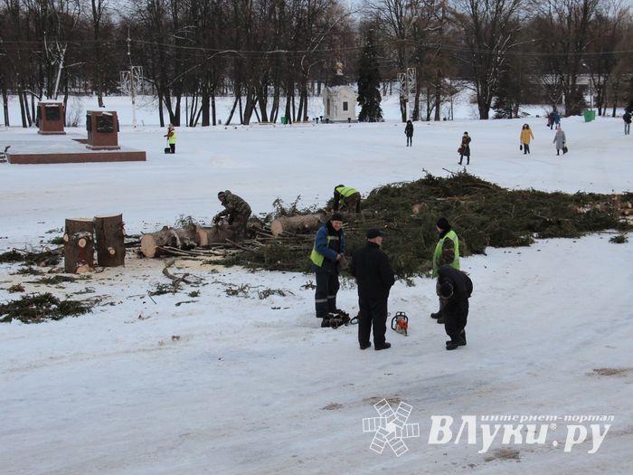 Главная городская ёлка отправилась на свалку (ФОТО)