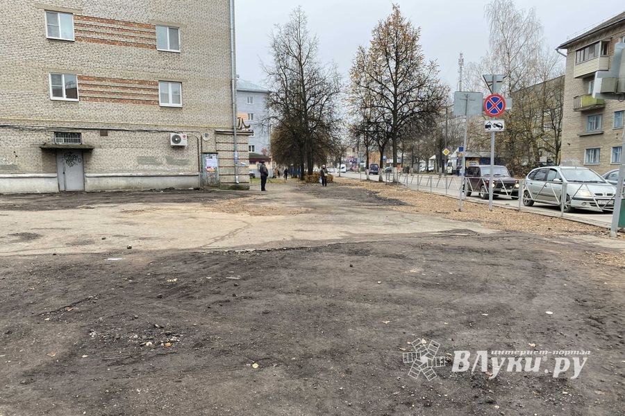 Пешеходам-великолучанам советуют не пользоваться смартфонами (ФОТО)