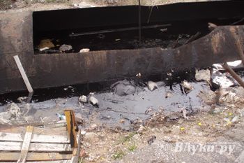 В Псковской области устанавливаются обстоятельства гибели женщины, обнаруженной в канаве с мазутом (фото)