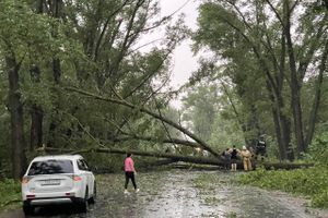 Весь ужас вчерашнего урагана в Великих Луках и районе (ФОТО, ВИДЕО)