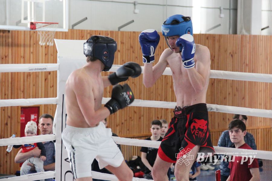 В Великих Луках прошел Кубок области по кикбоксингу (ФОТО)