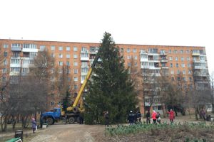 В Великих Луках установили вторую городскую ёлку (ФОТО)