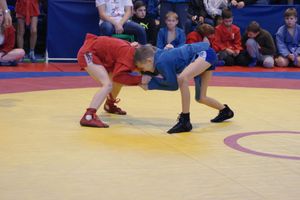 Великолучане завоевали призовые места на турнире по самбо «Память» (ФОТО)