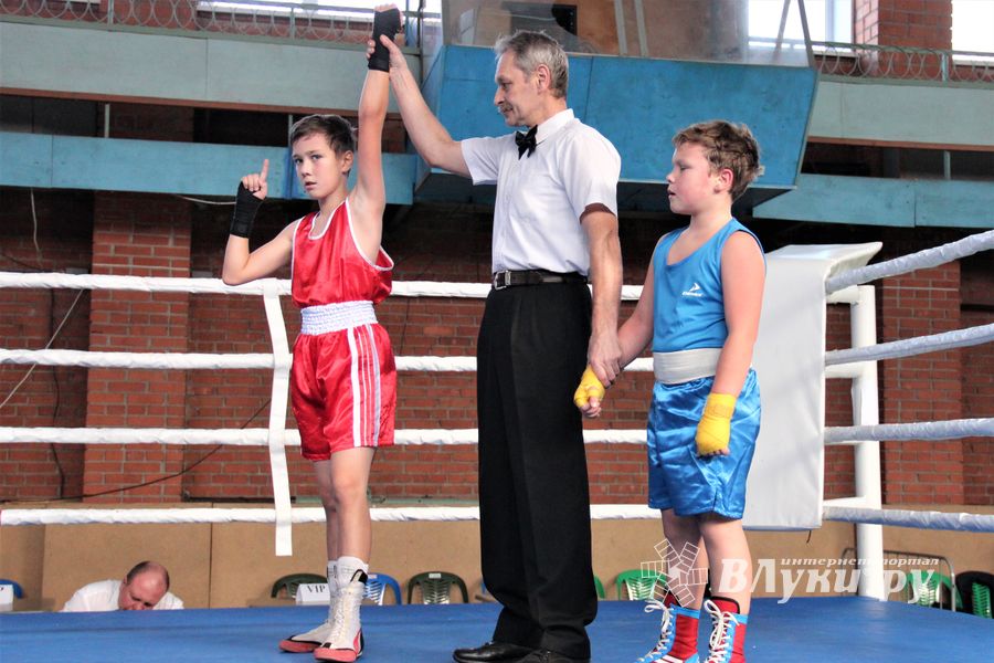 Второй день турнира по боксу складывается для великолучан удачно (ФОТО)