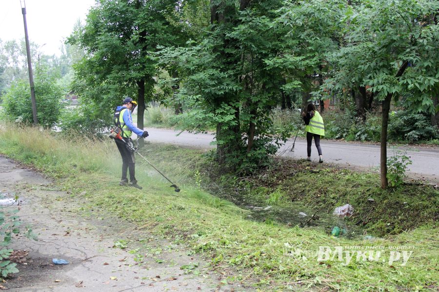 В Великих Луках косят (ФОТО)