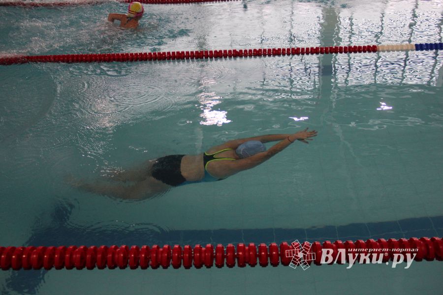 В Великих Луках прошло Первенство города по плаванию (ФОТО)