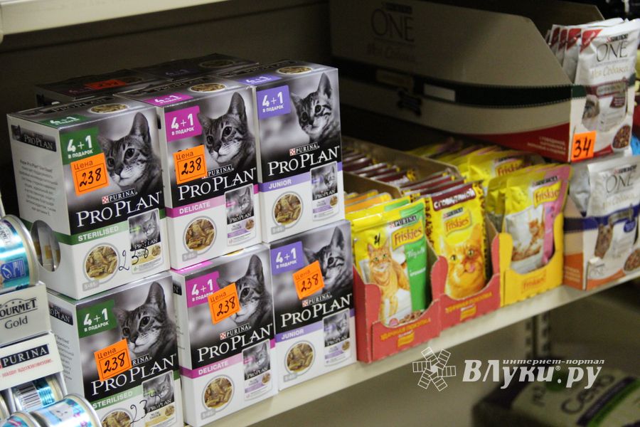 «Zooбастики»: подарите праздник своим любимцам! (ФОТО+ВИДЕО)