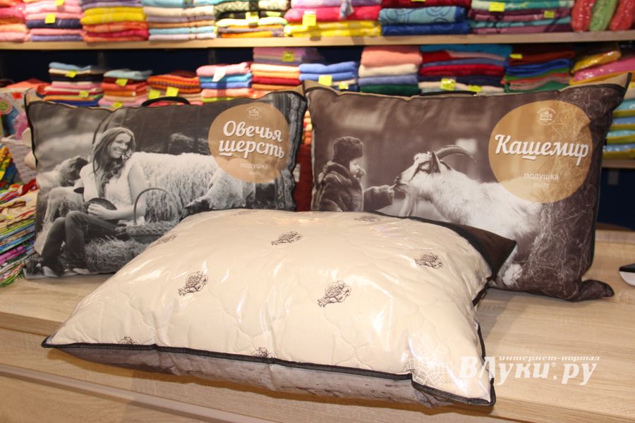 Кот Барон приготовил подарки для женщин