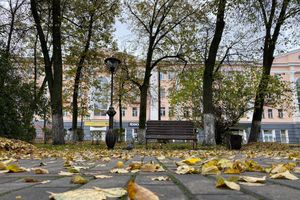 ©ВЛуки.ру