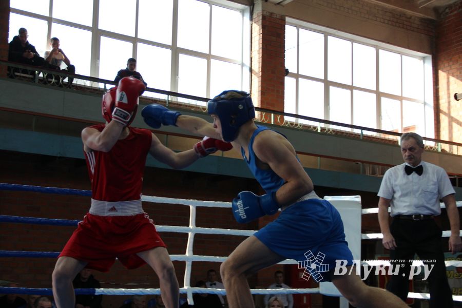 В Великих Луках прошел турнир по боксу памяти Е. Клевцова (ФОТО)
