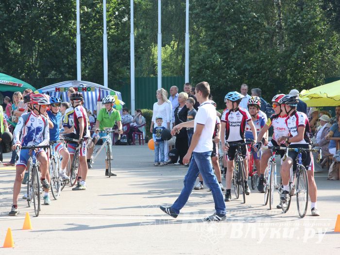 Спортивный фестиваль в День города