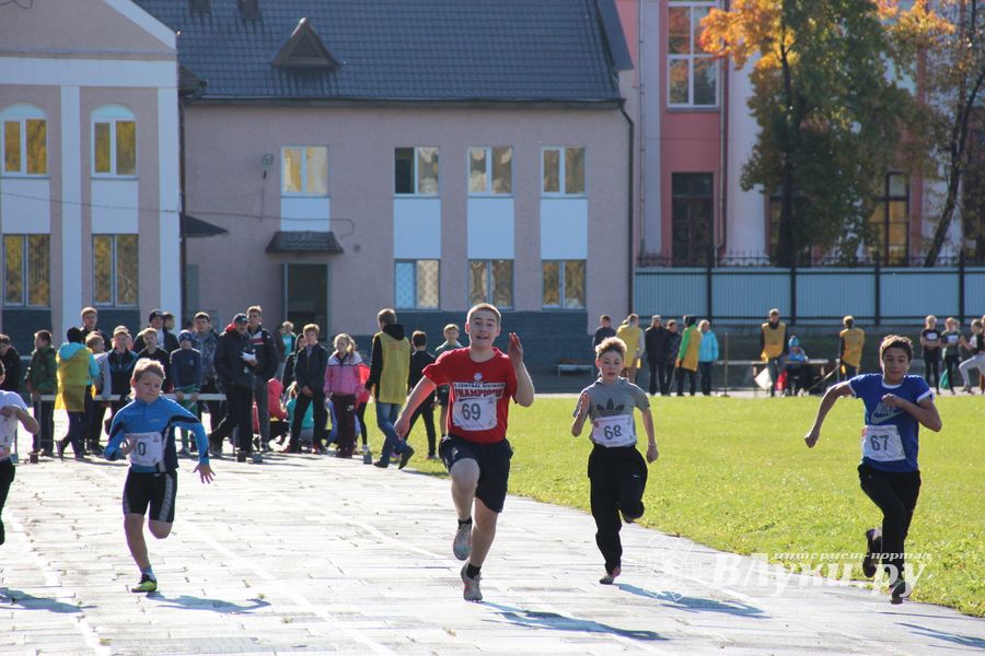 «Шиповка юных» среди великолукских школьников (фото)