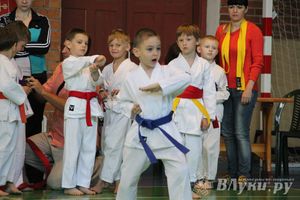 Великолучане стали победителями турнира по каратэ «Неприкосновенный запас, дети — Отчизны 2015» (фото)