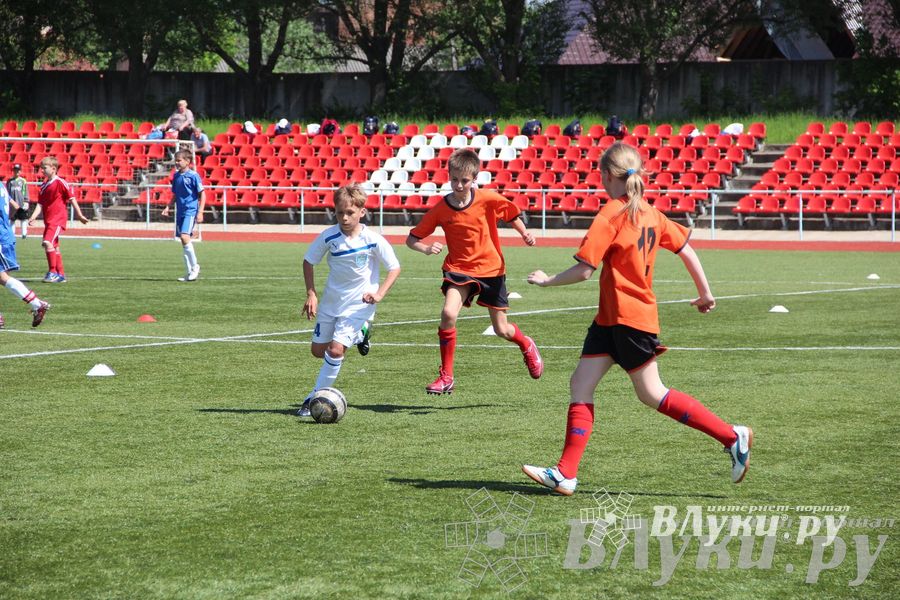 «Локобол-2013» в Великих Луках