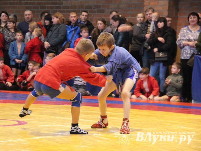 Открытый турнир по самбо «Новогодняя звезда-2019» прошел в Великих Луках (ФОТО)