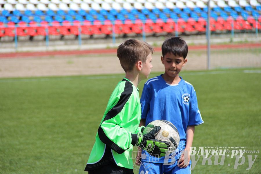«Локобол-2013» в Великих Луках