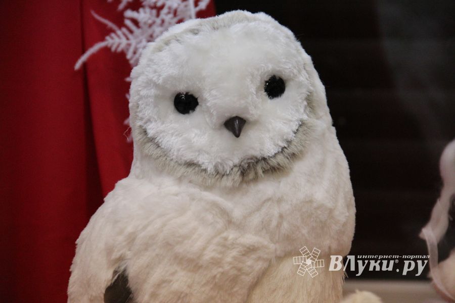 Как украсить дом к Новому Году? (ФОТО)