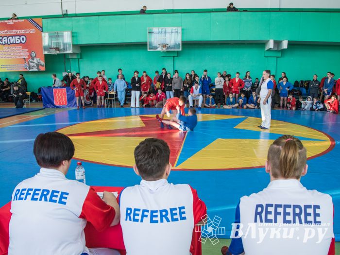 Фото: Александр Воробьев Великолучане завоевали награды Всероссийских соревнований по самбо