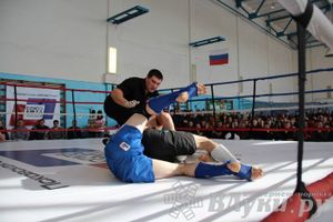 Чемпионат Псковской области по ММА
