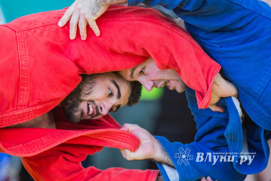 Фото: Александр Воробьев Великолучане завоевали награды Всероссийских соревнований по самбо