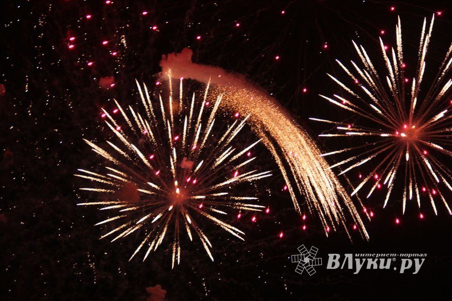 В Великих Луках зажглась новогодная ёлка (ФОТО)