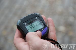 Легкоатлетический осенний кросс прошел в Великих Луках (фото)