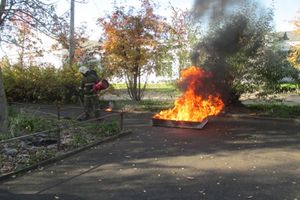 В Великих Луках прошла акция «Детство – территория безопасности» (фото)