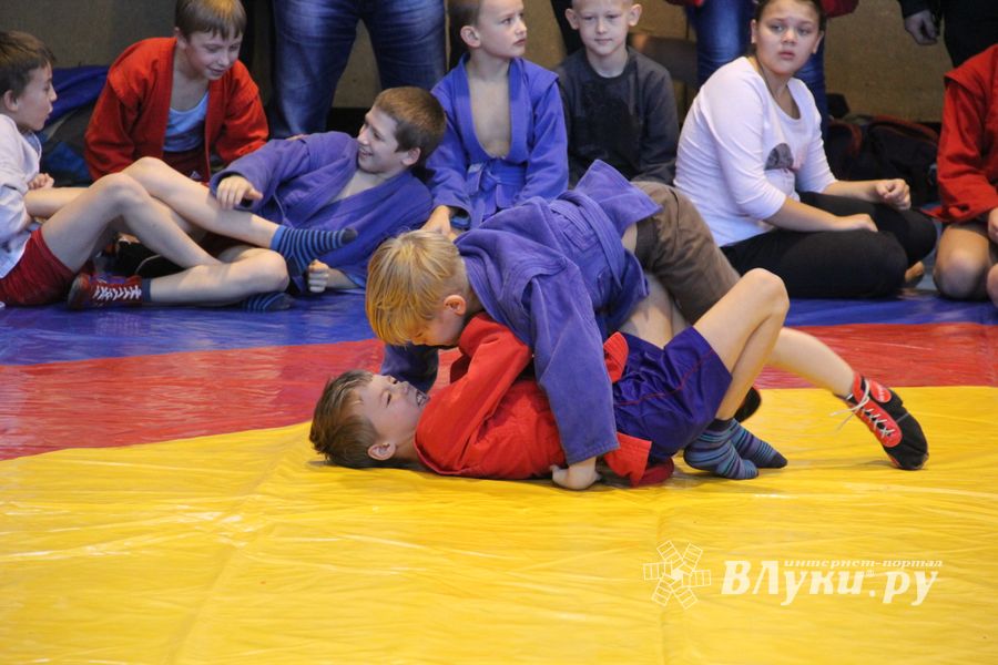 В Великих Луках прошел турнир по самбо "Память" (фото)