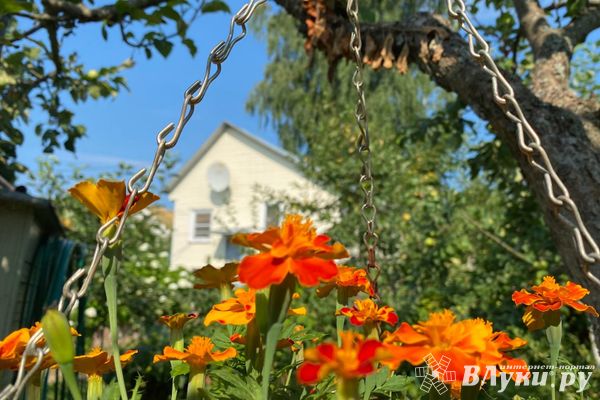 Безработный житель Локни обокрал дачу