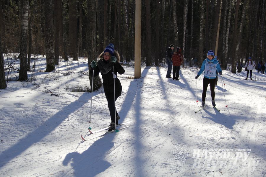 Всероссийская массовая лыжная гонка «Лыжня России 2015» состоялась в Великолукском районе (фото)