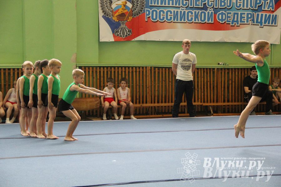 В Великих Луках состоялось Первенство по командной гимнастике (фото)
