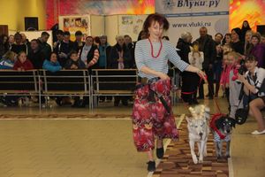 Всероссийская выставка собак в Великих Луках (фото)