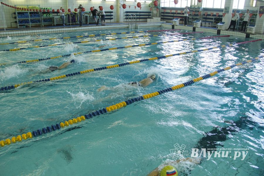 В Великих Луках прошел Чемпионат и Кубок города по плаванию (фото)
