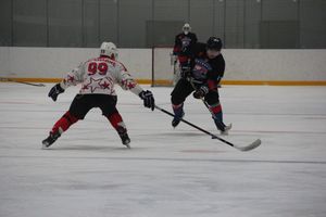 Матч НХЛ прошел в великолукском «Айсберге» (ФОТО)