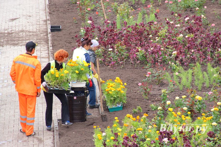 В Великих Луках сажают, стригут и красят (ФОТО)