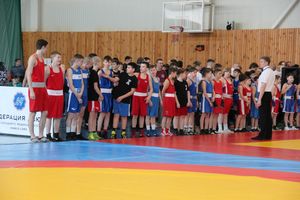 Фестиваль боевых искусств прошел в Великих Луках (ФОТО)