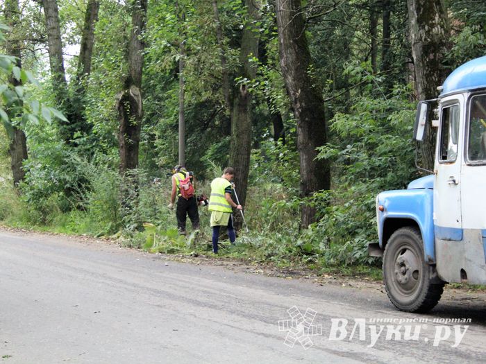 В Великих Луках косят (ФОТО)